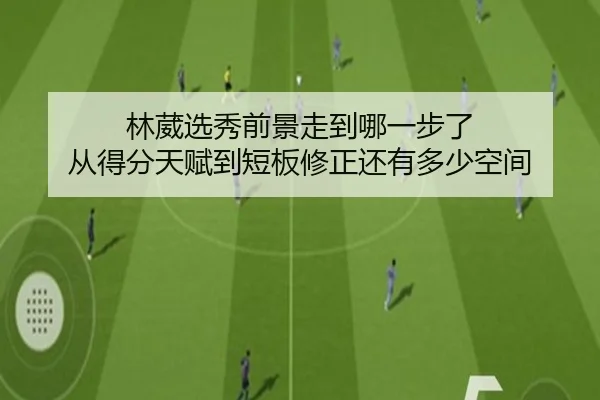 林葳选秀前景走到哪一步了 从得分天赋到短板修正还有多少空间